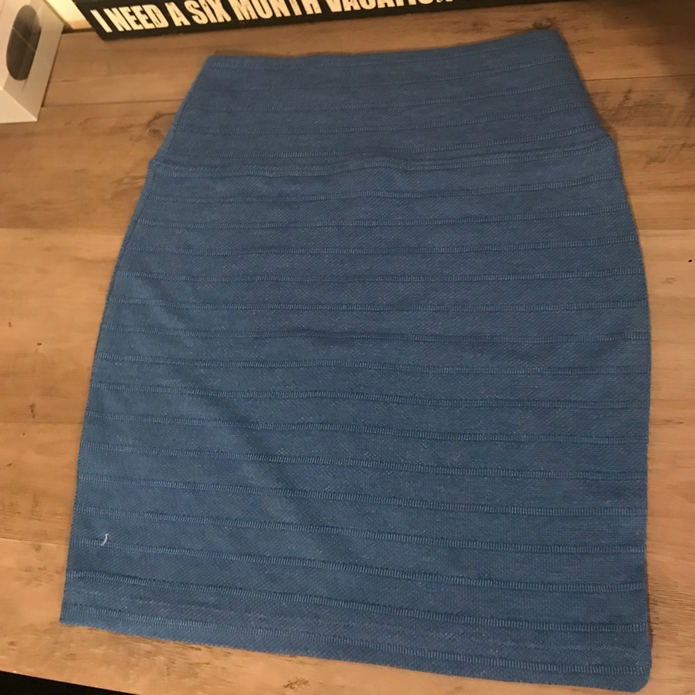 Basic House Knitted soft blue skirt NWT 6